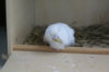 DSC09209.JPG