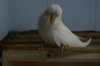 DSC09213.JPG