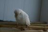 DSC09214.JPG