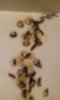 20170120_162055.jpg