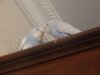 DSC01015.JPG