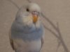 DSC01058.JPG