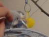 DSC01028.JPG