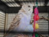 DSCN9339.JPG