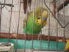 DSCN9360.JPG