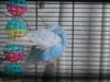 DSCN9368.JPG