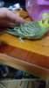 IMG-20170126-WA0005.jpg