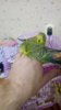 IMG-20170126-WA0006.jpg