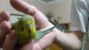 IMG-20170126-WA0007.jpg