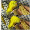 tHXxbR0pEhE.jpg