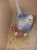 IMG-20161102-WA0003.jpg