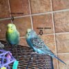 IMG-20170123-WA0000.jpg