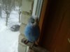 20170128_134742.jpg