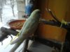 20170128_134730.jpg