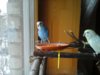 20170128_134641.jpg