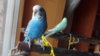 IMG_20170129_101023.jpg