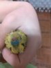 m5j78JI1GbA.jpg