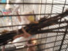 DSCN9399.JPG