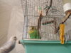 DSCN9406.JPG