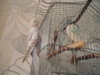 DSCN9408.JPG
