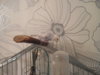 DSCN9409.JPG
