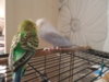 DSCN9412.JPG