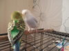 DSCN9413.JPG