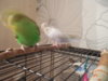 DSCN9414.JPG