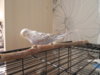 DSCN9415.JPG