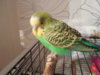 DSCN9416.JPG