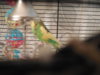 DSCN9407.JPG