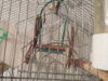 DSCN9397.JPG