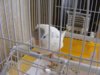DSCF3641.jpg