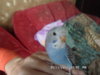SAM_0265.jpg