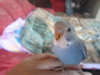 SAM_0268.jpg