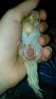 IMG-20150918-WA0003.jpg