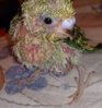 DSC_0225.JPG