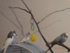 DSC01080.JPG