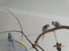 DSC01088.JPG