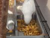 DSC01084.JPG