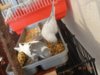 DSC01086.JPG