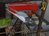 DSC01109.JPG
