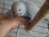 DSC01093.JPG