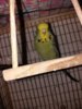 20170130_152355.jpg