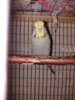 20170130_152343.jpg