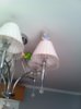 IMG-20170130-WA0003.jpg
