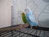 DSCN9460.JPG