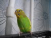 DSCN9467.JPG