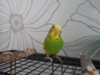 DSCN9507.JPG