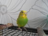 DSCN9508.JPG